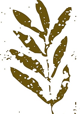 印花矢量圖 色彩 棕色 抽象 免費素材