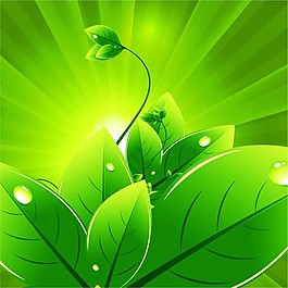 綠色植物矢量圖