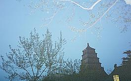 風(fēng)景 藍(lán)天圖片