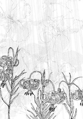 位圖 優(yōu)雅植物 草 花 色彩 免費(fèi)素材
