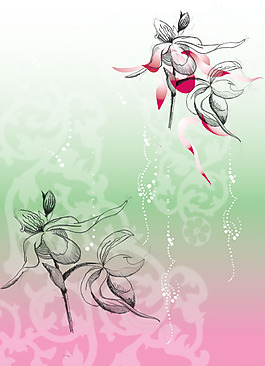 位圖 優(yōu)雅植物 抽象花卉 花 色彩 免費(fèi)素材