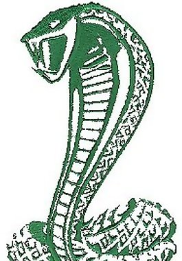 繡花 動(dòng)物 蛇 色彩 綠色 免費(fèi)素材