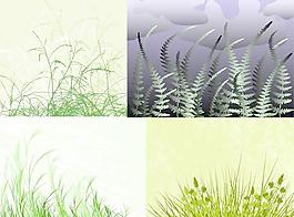 灌木矢量素材