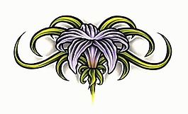 位圖 花卉 色彩 綠色 紫色 免費(fèi)素材