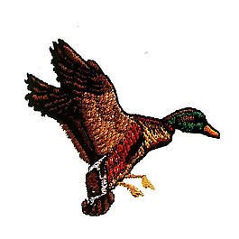 繡花 動(dòng)物 鳥(niǎo)類(lèi) 色彩 褐色 免費(fèi)素材