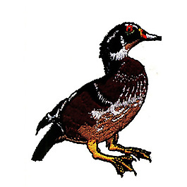 繡花 動(dòng)物 鳥(niǎo)類(lèi) 色彩 褐色 免費(fèi)素材