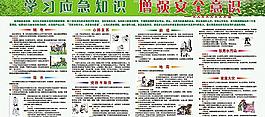 學習應急知識 增強安全意識圖片
