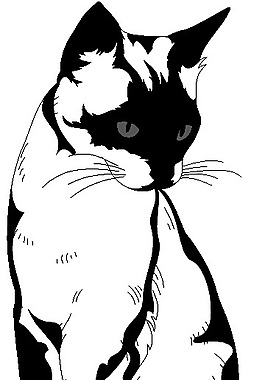 印花矢量圖 動物 貓 色彩 黑色 免費素材