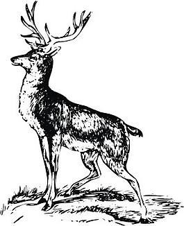 印花矢量圖 動物 麋鹿 色彩 黑色 免費素材