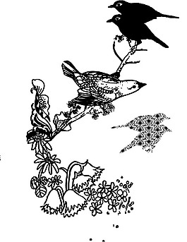 印花矢量圖 動(dòng)物 鳥類 色彩 黑色 免費(fèi)素材