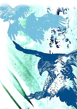 位圖 T恤圖案 動(dòng)物 鳥類 蒼蠅 免費(fèi)素材