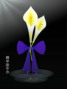 馬蹄蓮圖片