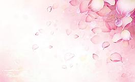 玫瑰花瓣圖片