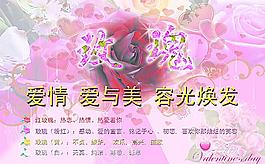 玫瑰花圖片