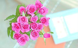 玫瑰花圖片