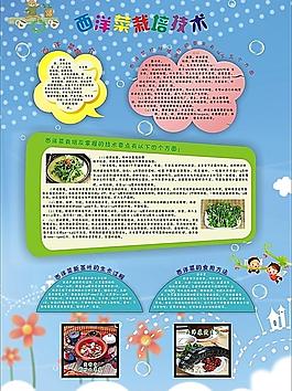 西洋菜栽培技术图片