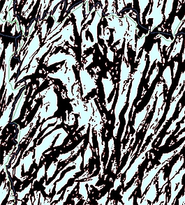 位圖 動(dòng)物皮紋 風(fēng)格 免費(fèi)素材