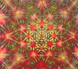 實物面料 扎染 免費素材