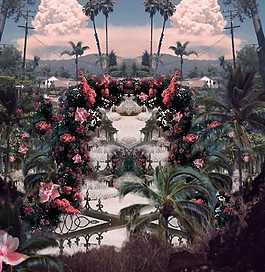 位圖 定位花 場景畫 免費(fèi)素材