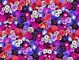位圖 植物 花朵 免費素材