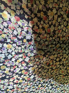 實(shí)物面料 面料展 2014 免費(fèi)素材