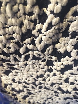 實物面料 面料展 免費素材