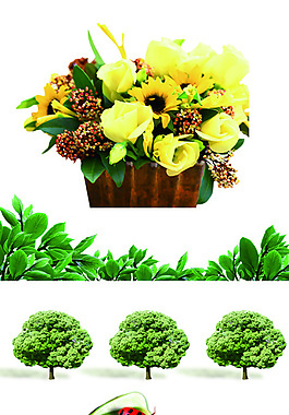 植物