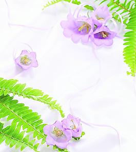 高清鲜花摄影图片
