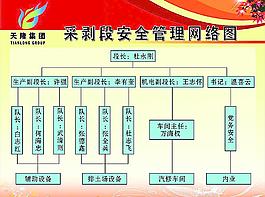 网络图图片
