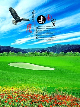 藍天 鷹擊長空 綠色草地 海報背景