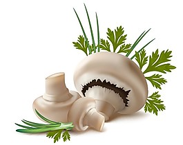 蘑菇蔬菜