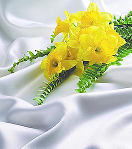 高清鲜花摄影图片