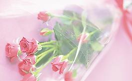 高清鲜花摄影图片