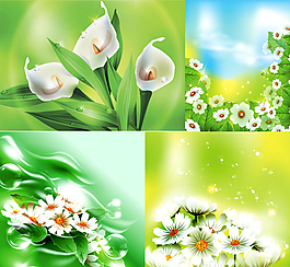 高清百合和菊花矢量素材