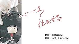 網絡名片圖片