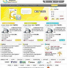 清新风格网络公司网站首页图片