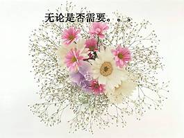 花的祝福