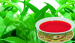 茶葉 古瓷碗
