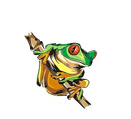 青蛙