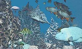 海底世界 underwater3