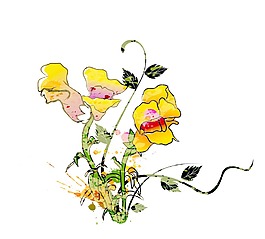 水彩花卉背景矢量