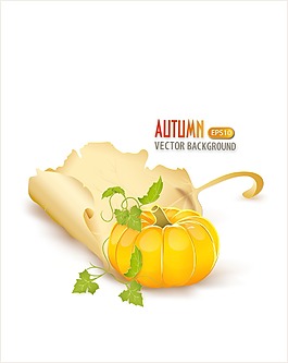 南瓜矢量秋天背景