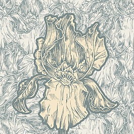 矢量古董芙蓉插圖