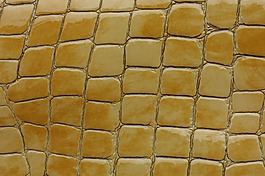 實物面料 皮革 免費素材