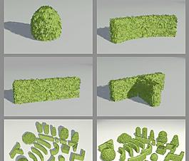 Hedges 树篱