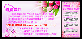 真愛婚介