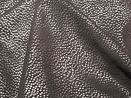 實(shí)物面料 面料展 免費(fèi)素材