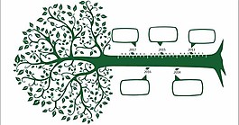 創(chuàng)造性的時(shí)間軸矢量