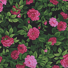 位圖 植物 花朵 免費素材