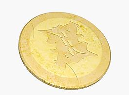 gold coins金幣